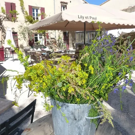 Lily Et Paul Bed & Breakfast Bedoin